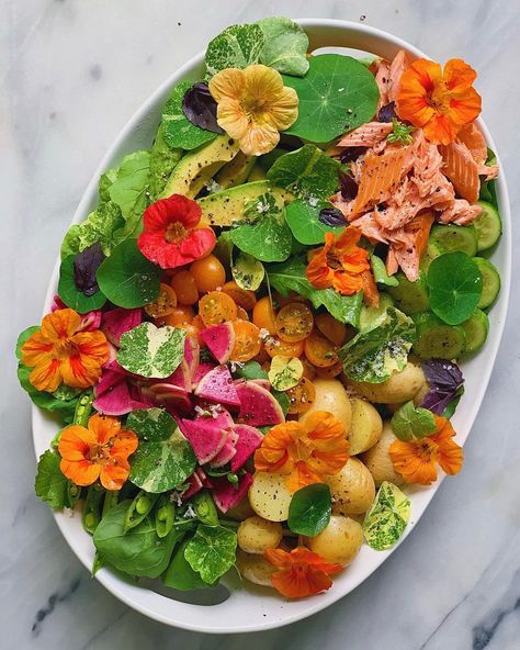 alison wu on Instagram: “my version of salad niçoise 🥗 that also looks like a fairy garden 🧚🏼‍♀️ #WuHaus” Trout Salad, Smoked Trout Salad, Fairytale Food, Edible Flowers Recipes, Fairy Food, Flowers Tea, Nicoise Salad, Smoked Trout, Homemade Cooking