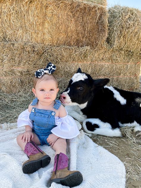 6 Month Cowgirl Pictures, One Year Old Cow Photoshoot, Cow Themed Photo Shoot, Cowgirl First Birthday Photoshoot, Calf Photoshoot, Holy Cow Im One, Second Birthday Photos, Cowgirl Pictures, Cow Photos