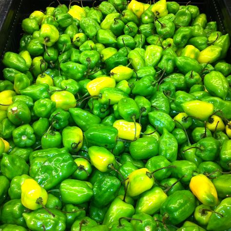 Chile habanero verde Chile Habanero, Chile Peppers, Hot Peppers, Chile Pepper, Stuffed Hot Peppers, Gravy, Peppers, Chile, Sauce