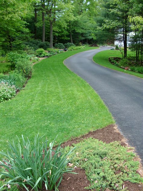 landscaping long driveway ideas | and, on the near right, the ‘upper’ perennial border, which is ... Landscaping Entrance, Beautiful Driveways, Driveway Entrance Landscaping, Long Driveway, Driveway Ideas, Driveway Entrance, Driveway Design, Driveway Landscaping, Long Driveways