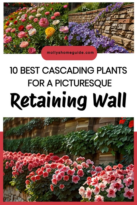 Discover the best flowers for retaining walls that will add beauty and charm to your outdoor space. From cascading plants to vibrant blooms, find the perfect plants for creating a stunning wall garden. Whether you're looking for versatile options or specific recommendations, these retaining wall flowers offer variety and visual appeal. Enhance your landscape with cascading plants for walls that bring a touch of nature to any setting. Tiered Retaining Wall Landscape, How To Decorate A Retaining Wall, Retaining Wall Planting Ideas, Trailing Perennials Retaining Walls, Retaining Wall Plants Landscaping, Cascading Outdoor Plants, Retainer Wall Landscaping, Landscaping With Retaining Wall, Cascading Landscape