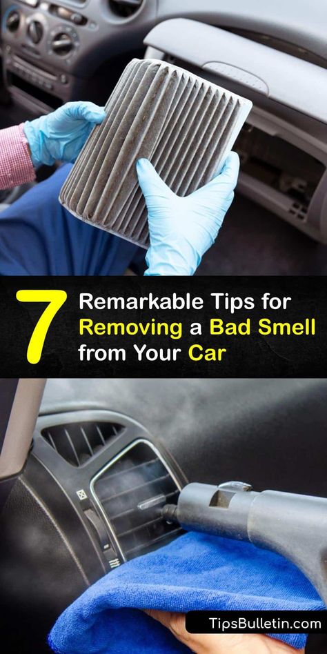 Whether it’s cigarette smoke or dog odor, a car smell is unpleasant. Remove a bad smell from your car cabin and upholstery using simple products like baking soda and white vinegar, and clean your cabin air filter to keep the air fresh. #remove #bad #smell #inside #car Car Odor Eliminator Diy, Car Smell Hacks, Cleaning Purses, Car Basics, Clean Car Interior, Car Odor Eliminator, Diy Car Cleaning, Cleaning Car Upholstery, Car Cleaner Interior