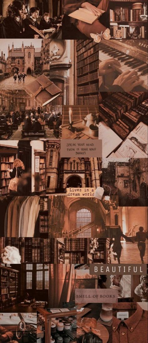 Harry Potter Dark Academia Wallpaper, Brown Collage Aesthetic, Harry Potter Dark Academia, Dark Academia Wallpaper Collage, Harry Potter Collage Wallpaper, Harry Potter Collage, Hogwarts Collage Wallpaper, Harry Potter Autumn Aesthetic Wallpaper, Marauders Collage Wallpaper