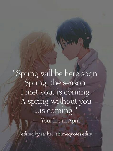 Quotes From Anime, Anime Lines, Romance Anime, Romance Quotes, Your Lie In April, You Lied, I Meet You, Anime Quotes, Animated Movies