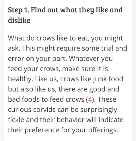 How To Befriend Crows, Difference Between Raven And Crow, How To Befriend A Crow, Facts About Crows, Crows Talking, Crow Raven Difference, Befriending Crows, Crows Ravens, Book Of Shadows