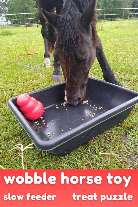 Horse Slow Feeder, Diy Horse Toys, Bits For Horses, Toys For Horses, Donkey Care, Livestock Shelter, Horse Ownership, Horse Farm Ideas, Paddock Paradise