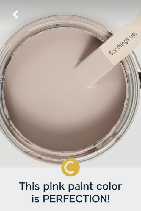 Paint color “ Meet Cute” by Clare paint Blush Pink Paint, Meet Cute, Cute Blush, Pink Paint Colors, Decoration Furniture, Pink Paint, Interior Paint Colors, Architecture Interiors, Big Girl Rooms