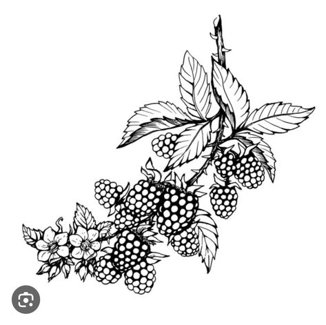 Blackberry Illustration, Cottagecore Tattoo, Blackberry Tattoo, Gap Filler Tattoo, Blackberry Fruit, Thorn Tattoo, Vine Drawing, Garden Tattoos, Tattoo Filler