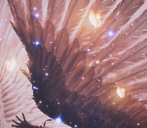 People With Wings Aesthetic, Seraph Wings, Wings Aesthetics, Sirius Aesthetic, Angel Wings Aesthetic, Wing Aesthetic, Wings Aesthetic, Star Wings, Pjo Oc