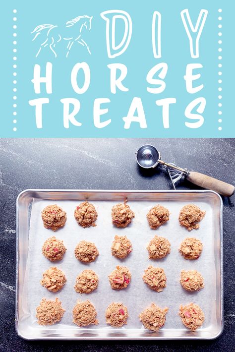 Diy Horse Cookies, Horse Cookies For Horses, Horse Treat Recipes, No Bake Horse Treats, Cookies For Horses, Diy Horse Treats, Horse Treats Recipe, Horse Cookies Recipes, Homemade Horse Treats