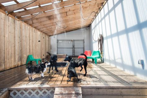 Pet boarding in Vancouver redefined with Jet Pet Resort. We provide a fun, safe, and personalized experience for your pets. Dog Enclosures, Pet Daycare, Luxury Dog Kennels, Infant Care, Outdoor Play Areas, Pet Resort, Pet Paradise, Pet Spa, Pet Hotel