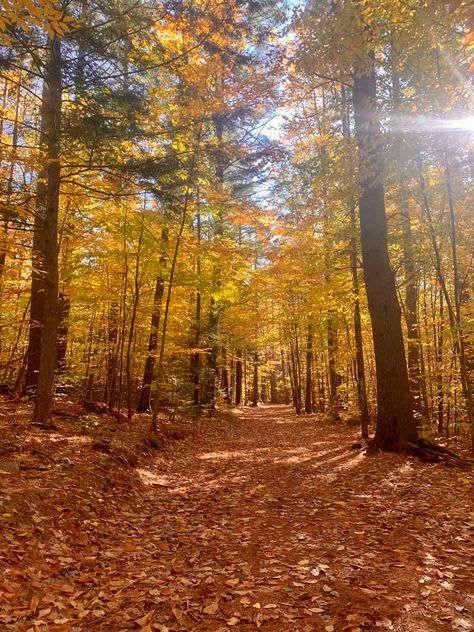 Late October in New Hampshire New Hampshire Aesthetic, Manchester New Hampshire, Manifesting 2024, College Goals, Circle Mirror, New Hampshire, East Coast, Hampshire, Fall Colors