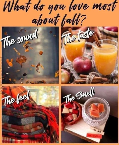 November Social Media Engagement Posts, November Interactive Post Facebook, Scentsy Questions, Thanksgiving Interactive, Autumn Games, Fall Post, Scentsy Posts, Interaction Post, Christmas Content