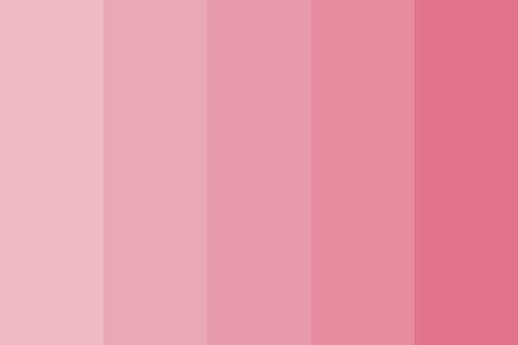 muted pinks Color Palette Create Color Palette, The Color Pink, Pink Color Schemes, Pink Palette, Color Palette Pink, Color Palette Design, Colour Board, Color Wheel, Color Pallets