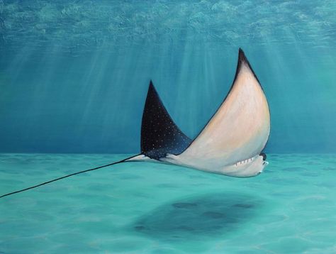 Stingray painting. Acrylic on Wood. 48 x 36 inches Stingray Painting, Spotted Stingray, Talk To Someone, Beautiful Sea Creatures, Canvas Painting Designs, Homeschool Art, House Decorations, Manta Ray, Acrylic Painting Tutorials