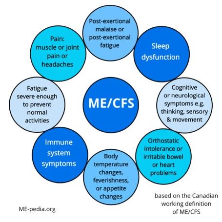 A Conversation about Myalgic Encephalomyelitis with Dr. Nina Muirhead - CIHR Myalgic Encephalitis, Inflammatory Bowel Syndrome, Cfs Symptoms, Causes Of Fatigue, Mast Cell Activation Syndrome, Movement Activities, Irritable Bowel, Daily Health Tips, Heart Problems