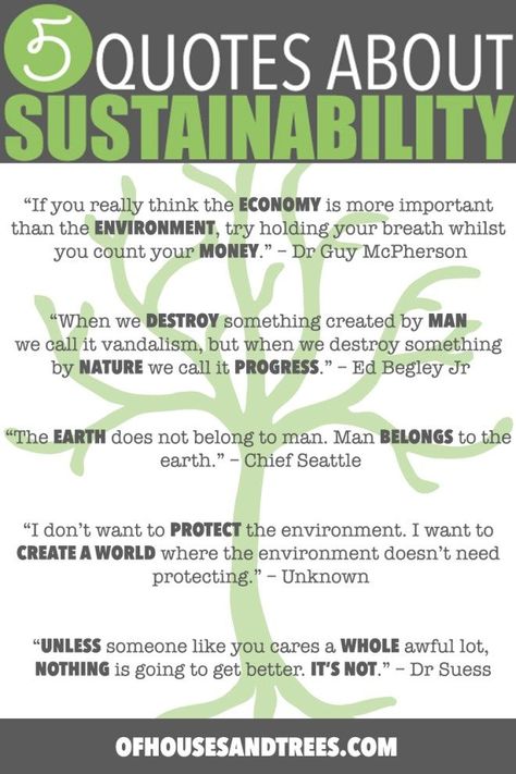 Sustainability Quotes | Five sustainability quotes superimposed over images of mountains, forests and a child hugging a very large tree. Cheesy? Perhaps. True? Hell yes. Ecofriendly Quotes, Sustainable Living Quotes, Sustainable Fashion Quotes, Sustainable Development Projects, Sustainability Consulting, Eco Quotes, Sustainability Quotes, Environmental Quotes, Sustainability Education