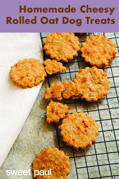 Homemade Soft Dog Treats, Oat Dog Treats, Soft Dog Treats, Pet Treats Recipes, Sweet Paul Magazine, Easy Dog Treat Recipes, Doggy Treats, Dog Biscuit Recipes, Easy Dog Treats