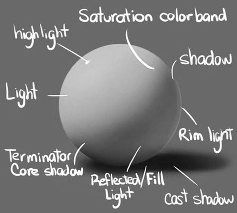 Grayscale Value Study, Greyscale Reference, Gray Scale Digital Art, Greyscale Tutorial, Grayscale Reference, Gray Scale Drawing, Greyscale Digital Art, Grayscale Tutorial, Grey Scale Drawing