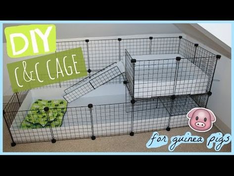 areadiy on Twitter: "DIY C&C guinea pig cage │Alexandriasanimals https://t.co/MitlhCInY3 #DIY #homemade https://t.co/N0GWgpiAn3" / Twitter Diy Ginny Pig Cage, Guinea Pig Cage Setup Ideas, C C Guinea Pig Cage, Bin Cage, Cavy Cage, Pig Habitat, Guinea Pig Cage Ideas, Hedgehog Cage, Diy Guinea Pig Cage