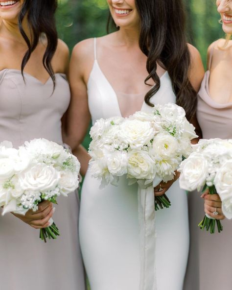 Garden roses are the perfect choice for wedding bouquets, and Alabaster is a popular choice! She is a sturdy rose that opens into a flat rosette shape and has a light lilac fragrance. See how #AFCDcertified designer @flowersbyjanie used Alabaster in these bridal arrangements. #alabasterrose #deluxegardenroses #gardenroses #rose #flowers #floraldesign #floralstyling #flower #roses #floralinspo #inspiredbynature #alexandrafarms #loveroses #underthefloralspell #stylingtheseasons #luxuryroses #wed White Carnation Bouquet, Rose Bridesmaid Bouquet, Bride Bouquets White, Carnation Wedding, Bouquets Bridesmaids, Loose Bouquet, White Peonies Bouquet, Bridesmaid Bouquet White, Winter Bridesmaids