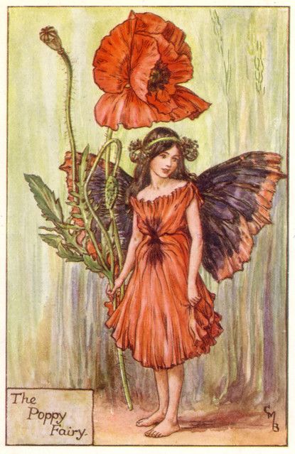 Poppy Fairy, Fairy Illustration, Cicely Mary Barker, Vintage Fairies, Hur Man Målar, Flower Fairies, Art Et Illustration, Fairy Angel, Art And Illustration