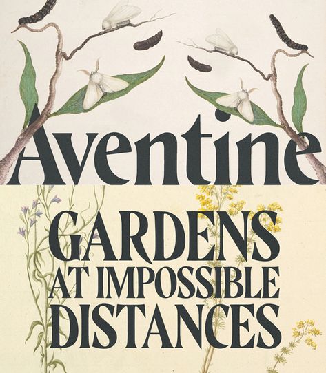 Aventine Free Font Cottagecore Font, Folk Font, Nature Fonts, Botanical Font, Vintage Fonts Alphabet, Artsy Fonts, Garden Font, Old School Fonts, Fonts Graphic Design