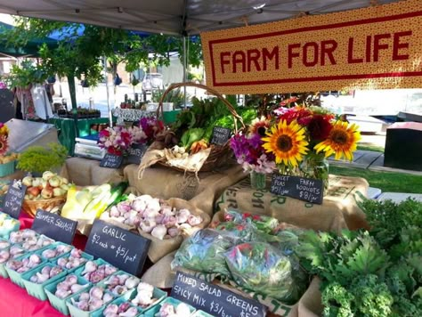 Invaluable advice for setting up a successful farmers market business. Farmers Market Ideas, Veggie Stand, Farm Market Ideas, Farmers Market Stand, Farmers Market Booth, Farmers Market Display, Produce Stand, Market Stands, Farm Business