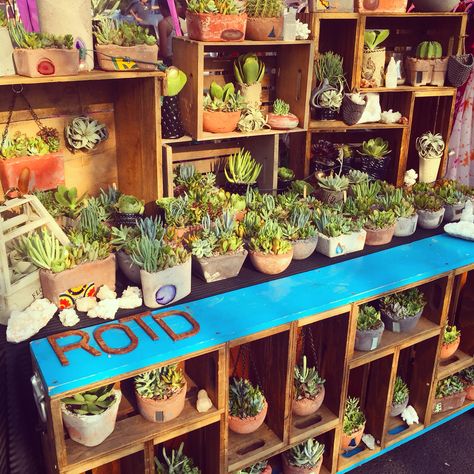 ROTDcreations market display Plants Craft, Farmers Market Display, Vendor Booth Display, Succulent Display, Craft Market Display, Craft Fairs Booth, Craft Market, Market Display, Craft Booth Displays