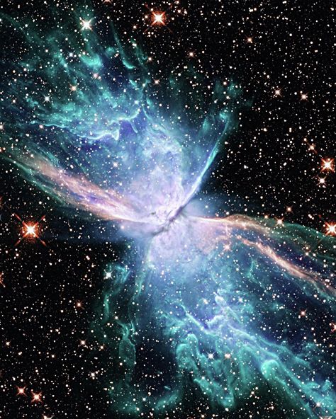 Astronomy on Instagram: “Stunningly Real Images of Deep Space! These beautifully real images include: the Butterfly Nebula (Infrared), Spiral Galaxy NGC 2336, and…” Butterfly Nebula, Fantasy Cottage, Aesthetic Galaxy, Real Images, James Webb Space Telescope, Spiral Galaxy, Space Photos, Space Images, Space Telescope