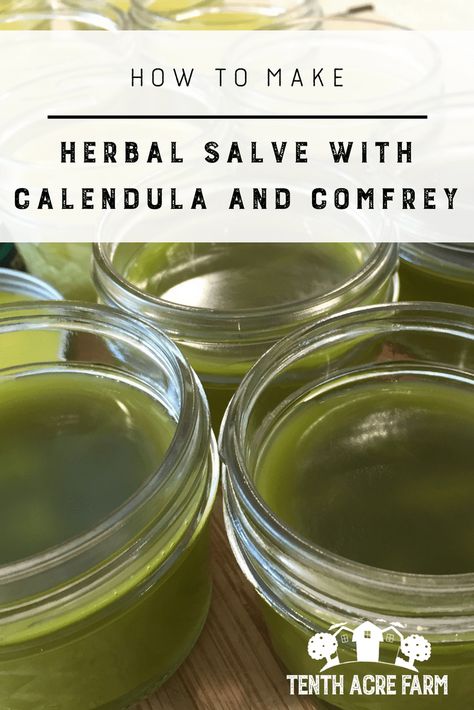 How to Make Herbal Salve with Calendula and Comfrey: Herbal salve is often used for healing skin ailments. Learn how to use herbs from your garden to make a healing herbal salve. #microfarm #herbalism #herbalsalve Calendula Salve, Healing Wounds, Salve Recipes, Herbal Salves, Healing Salves, Herbal Recipes, Natural Healing Remedies, Herbal Healing, Cold Home Remedies