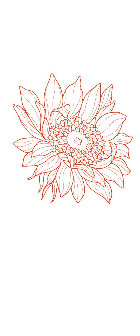 Wild Sunflower Drawing, Sunflower Vine Drawing, Sunflower Honeycomb Tattoo, Tattoo Stencil Outline Flowers, She Is Art Tattoo Stencil, Sun Flower Line Drawing, Sunflower Drawing Outline, Sunflower Petals Drawing, Sun Flower Tattoo Stencils