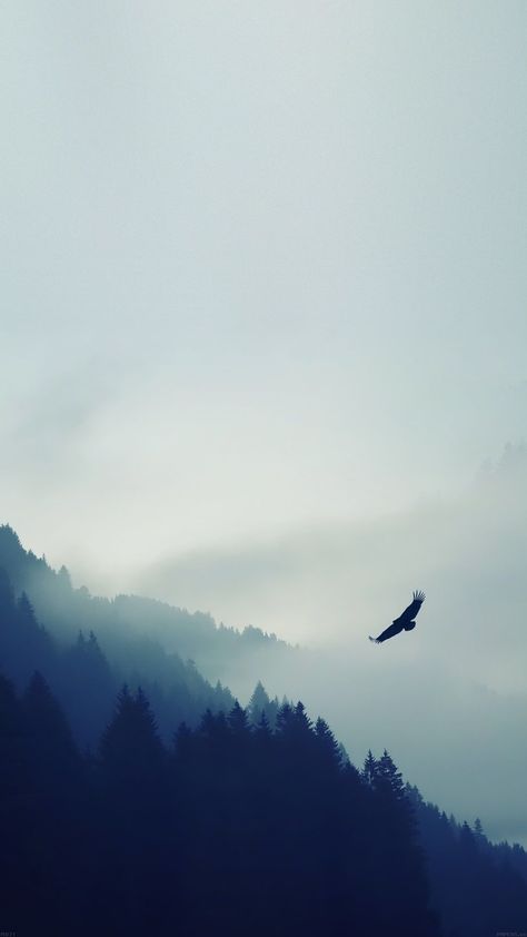 Bird-Flying-Over-Foggy-Forest-iPhone-6-Plus-HD-Wallpaper1 Bike Wallpaper, Movies Wallpaper, Flying In The Sky, Bird Flying, Iphone 6 Wallpaper, Painting Photography, Foggy Forest, Best Iphone Wallpapers, Calming Colors