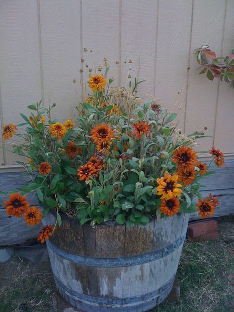 love the wildflower look! Container Landscaping, Summer Containers, Fall Outdoors, Fall Container Gardens, Flower Containers, Country Garden Decor, Fall Containers, Flowers Growing, Barrel Planter