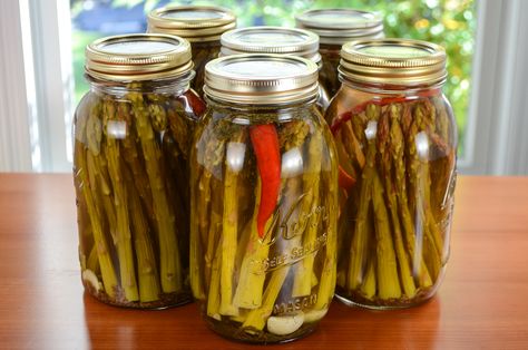 Canned Pickled Spicy Asparagus | For the Love of Cooking Spicy Pickled Asparagus Recipe, Canning Cupboard, Spicy Asparagus, Panko Crusted Chicken, Pickled Asparagus, Quart Size Mason Jars, Pickled Garlic, Pickled Veggies, Pickled Vegetables