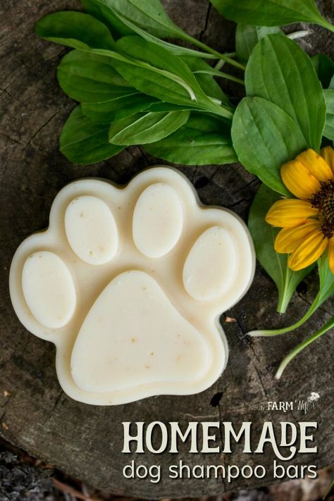 Shampoo Bar Diy, Lush Shampoo Bar, Diy Shampoo Bar, Diy Dog Shampoo, Homemade Dog Shampoo, Bar Shampoo, Dog Shampoo Bar, Shampoo Bar Recipe, Coconut Milk Shampoo