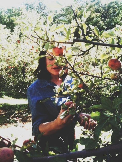 joy the baker by lani trock by joy the baker, via Flickr Picking Peaches, Orchard Photography, Picking Fruit, Peach Orchard, Picking Apples, Apple Hill, Joy The Baker, Happy Farm, Apple Season