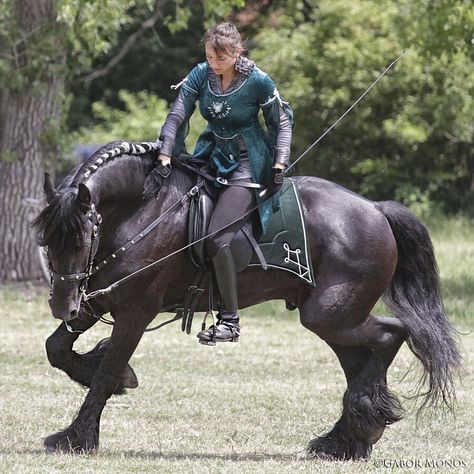 Freisen warhorse Desen Realist, Horse Costumes, Big Horses, Black Stallion, Black Horses, Friesian Horse, Majestic Horse, Beautiful Horse, Dragon Age Inquisition