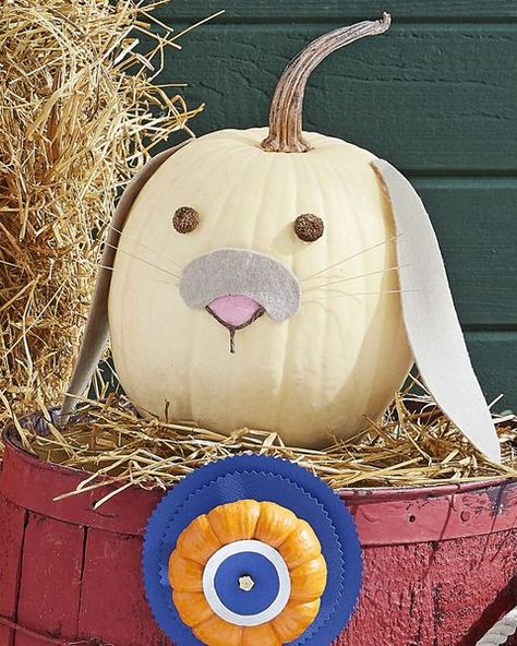 Knuffle Bunny Pumpkin, Pumpkin Bunny, Bunny Carved Pumpkin, Bunny Pumpkin, Rabbit Jack O Lantern, Sculpted Pumpkin Faces, Pumpkin Carving Tools, Pumpkin Family, Cow Ears