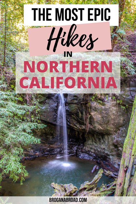 Best Hikes in Northern California | Best hiking trails in Northern California | Hiking Tips for Northern California | Best hiking routes in Northern California | Best short hikes in Northern California | Best day hikes in Northern California | Best multi-day hikes in Northern California #california #hiking #travel Best West Coast Hikes, Hiking Northern California, Hiking In California, Northern California Hikes, Hiking California, Northern California Travel, California Hiking, Hikes In Los Angeles, California State Parks