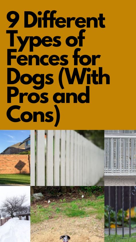 Dog Proof Fence Ideas, Best Fence For Dogs, Fence For Dogs Backyards, Dog Fence Ideas Backyards, Cheap Fence Ideas For Dogs, Pet Fence Ideas, Fences For Dogs, Fencing For Dogs, Dog Proof Fence