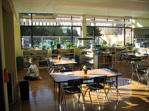 Gorgeous learning space - kudos to the light and the natural wood and greenery - love it! Calm Classroom Lighting, Natural Lighting Classroom, Lighting In Classrooms, Classroom With Lamps, Kindergarten Classroom Environment, Green Classroom, Beautiful Classroom, Educational Architecture, Fluorescent Lights