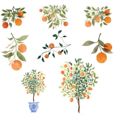 Tangerine Tree Tattoo, Grapefruit Tree Tattoo, Clementine Tree Tattoo, Kumquat Drawing, Kumquat Tattoo, Orange Branch Tattoo, Orange Tree Drawing, Orange Tree Tattoo, Tangerine Drawing