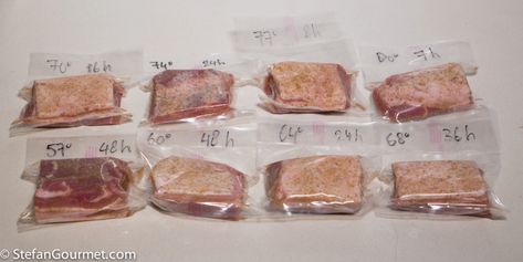 Pork Belly Sous-Vide Time and Temperature Experiment | Stefan's Gourmet Blog Pork Belly Sous Vide, Sous Vide Pork Belly Recipes, Sous Vide Pork Belly, Smooth Recipes, Sous Vide Pork Chops, Pork Belly Strips, Belly Pork, Pork Kabobs, Sous Vide Pork