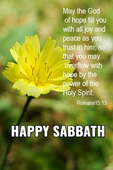 Happy Sabbath Blessings Kjv, Sabbath Blessings, Happy Sabbath Day Quotes, Happy Sabbath Quotes Beautiful, Morning Encouragement, Happy Sabbath Quotes, Beautiful Bible Quotes, Christian Good Morning Quotes, Friday Inspirational Quotes