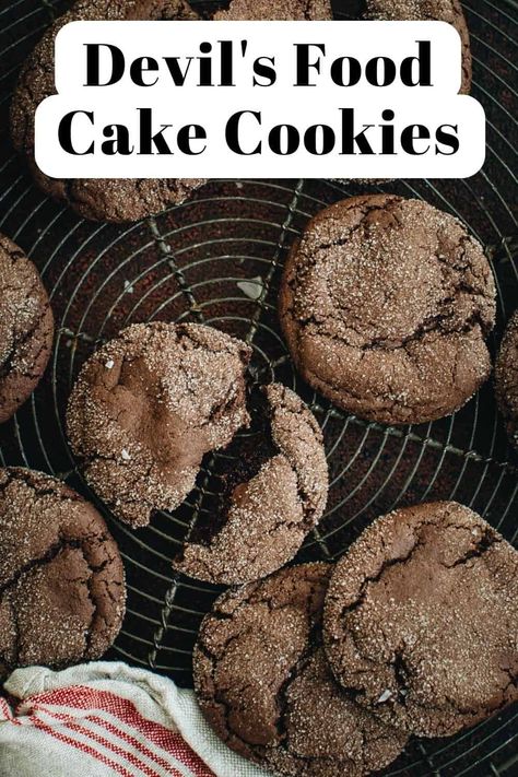 Devils Food Cake Cookies, Devils Food Cake Mix Cookies, Easiest Cookies, 2 Ingredient Cakes, Chocolate Cake Mix Recipes, Best Cake Mix, Recipes Using Cake Mix, Chocolate Cake Mix Cookies, Boxed Cake Mixes Recipes