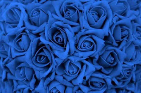 Blue Rose Meaning, Wedding Tattoos, Rose Wallpaper, Blue Roses, Facebook Covers, Vintage Diy, Wild Roses, Animal Tattoos, Blue Rose