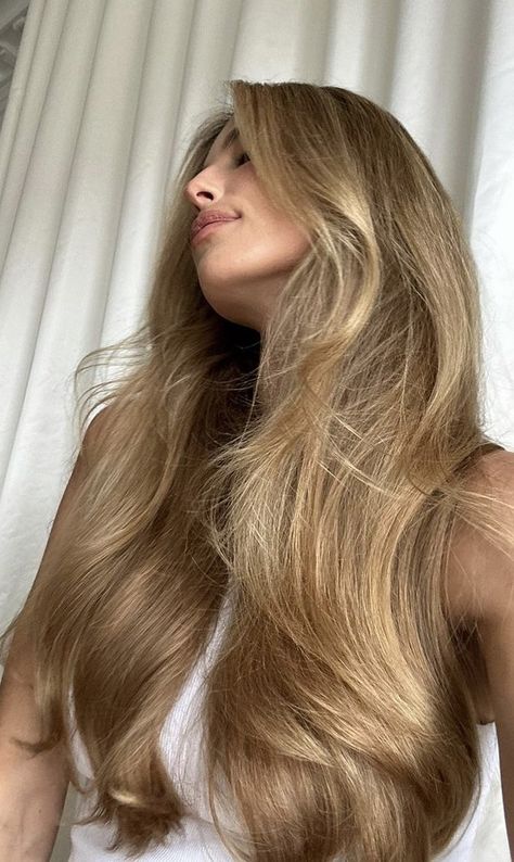 Long Hair Pictures, Honey Blonde Hair, Honey Hair, Blonde Hair Inspiration, Blonde Hair Looks, Hair Stylist Life, Long Blonde, Long Blonde Hair, Hair Inspo Color