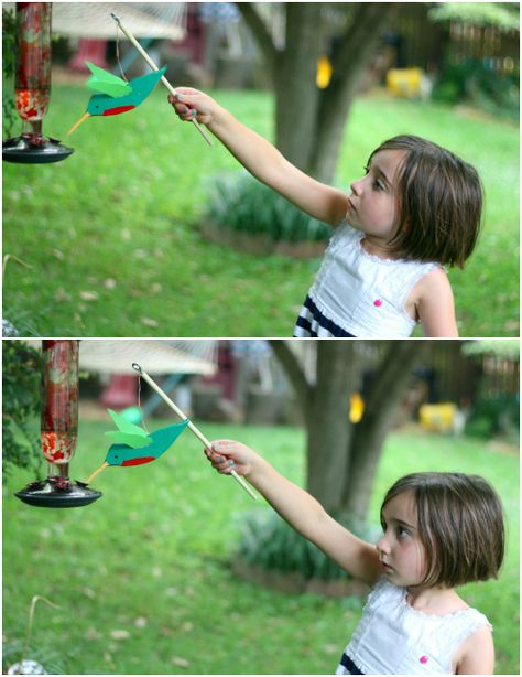 Hummingbird Crafts For Kids, Hummingbird Activities, Diy Hummingbird Feeder, Sea Stars, Sensory Garden, Kids Ministry, Family Diy, Camp Ideas, Humming Bird Feeders