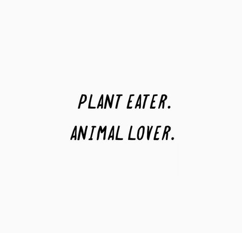 Vegan Quotes Aesthetic, Vegetarian Aesthetic Quotes, Vegan Affirmations, Animal Rights Tattoo, Veggie Quotes, Delicious Vegan Meals, Vegetarian Quotes, Vegetarian Humor, Plant Eater